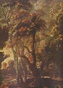 Peter Paul Rubens Jagd der Atalante Germany oil painting artist